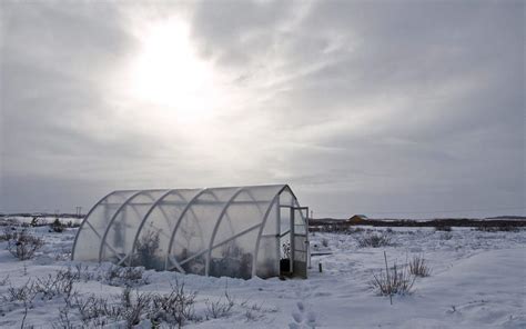 Best Clear Plastic Sheets for Greenhouses - Greenhouse Info