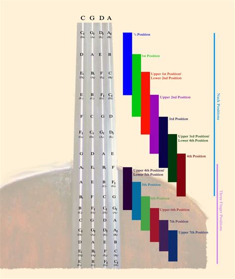 Teaching the Cello – The Cello Companion | Cello lessons, Cello, Music scales chart