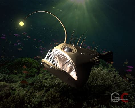 Angler fish - ANGUS free 3D model | CGTrader