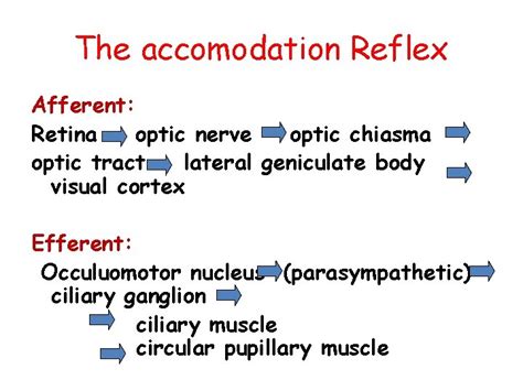 Physiology of Vision Lecture2 Accommodation Pupillary Light Reflex