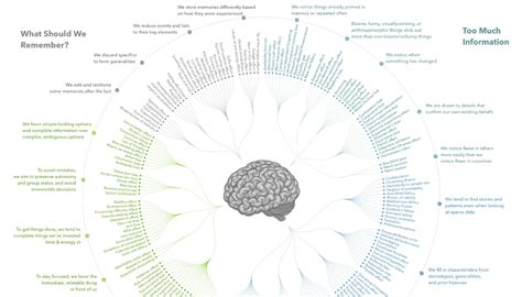 Cognitive bias codex and critical thinking | CarolinaFirearmsForum