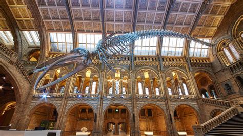 Natural History Museum, London: Everything You Need To Know