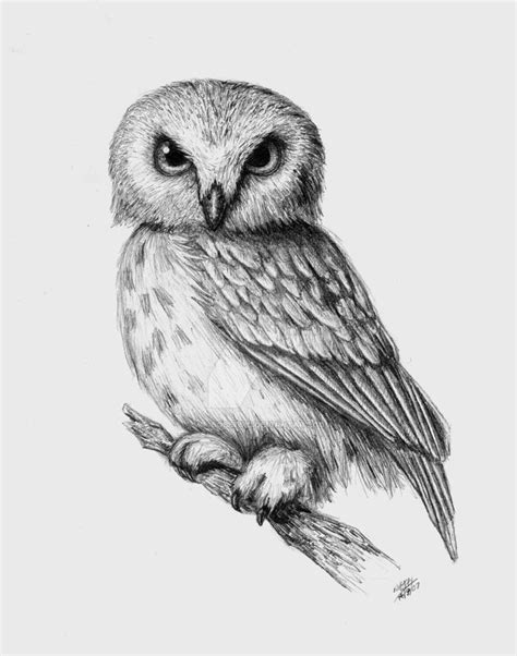 38 mejores imágenes de Realistic Owl Tattoo Sketches en Pinterest | Tatuaje búho real, Tatuajes ...