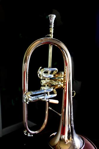 What is a Flugel Horn and Do I need to own one? – Trumpet Blog