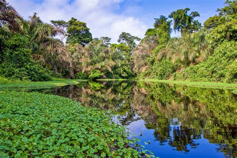 Visit the Amazon Rain Forest: Private Travel to Brazil's Amazon | LANDED Travel