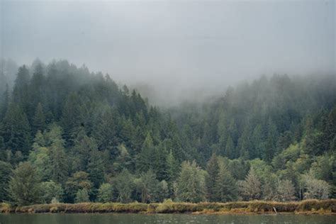 Our Geography – Siuslaw Watershed Council