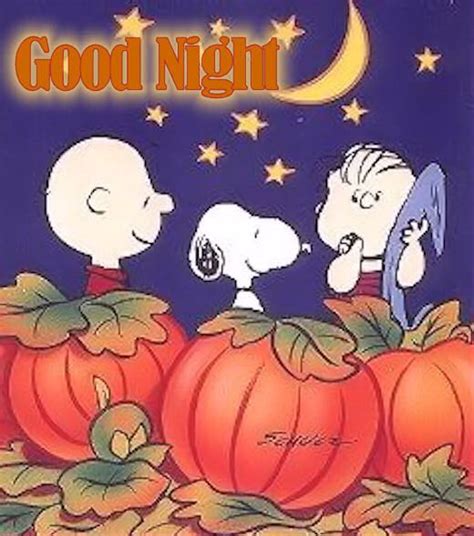 Good Night night snoopy goodnight good night goodnight quotes good nite goodnight quote | Snoopy ...