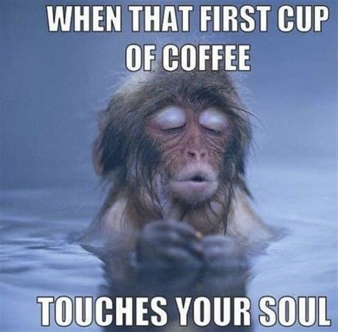 Check Out These Coffee Memes... But First, Drink Coffee - That First Beautiful Sip | Memes