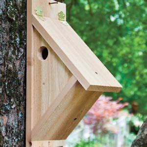 Nuthatch Nest Box | Bird house, Nesting boxes, Bird