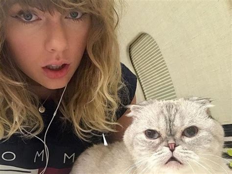 Taylor Swift’s cat is worth US$97M and richer than her boyfriend ...