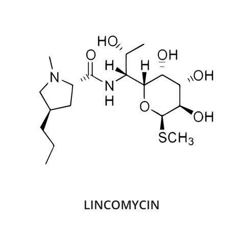 Lincomycin for Chickens and Ducks