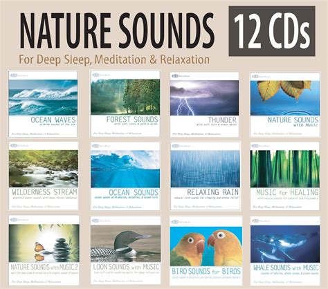 Rest and Relax Nature Artist Series - NATURE SOUNDS 12 CD Set: Ocean ...