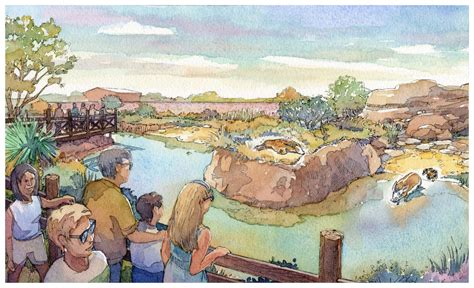 El Paso Zoo Master Plan Project | WDM Architects