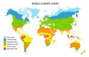 Subpolar Climate: [Characteristics, Flora, Fauna and Adaptability] - Complete Gardering