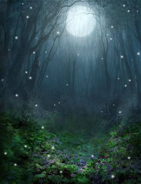 enchanted night | Fantasy landscape, Magical forest, Fantasy art