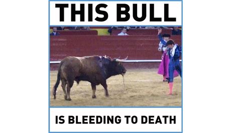 Why Bullfighting Needs to Be Banned - YouTube