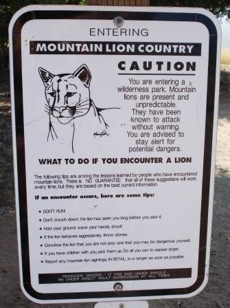 Dangerous Wildlife Encounters Part Three, MOUNTAIN LIONS | Anthony's Audio Journal