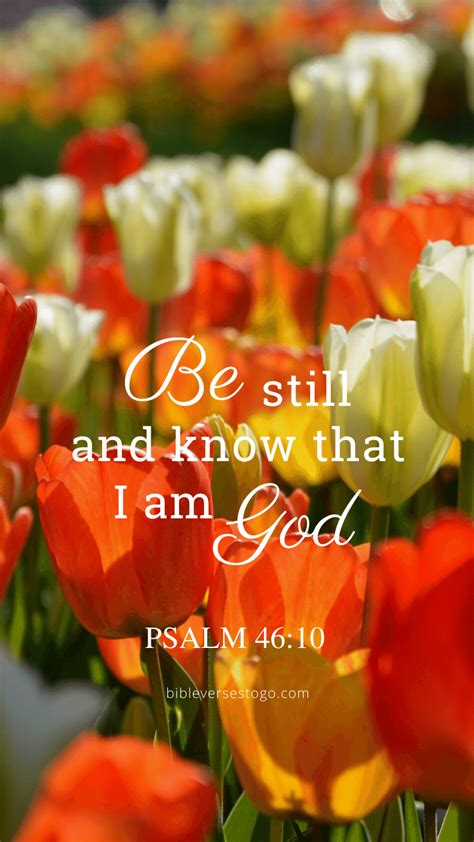 Tulips Bible Verse Wallpaper - Bible Verses To Go