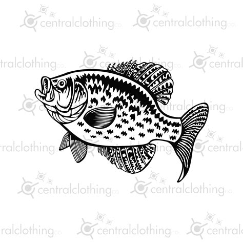 Crappie Fish Clip Art, Pan Fish, Cut File, .png, .svg, .eps, .pdf, .jpeg - Etsy Israel