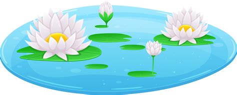 Water lily clipart 26749372 PNG