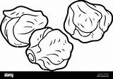 Coloring Book For Children Vegetables Brussels sprouts Stock Vector  sketch template