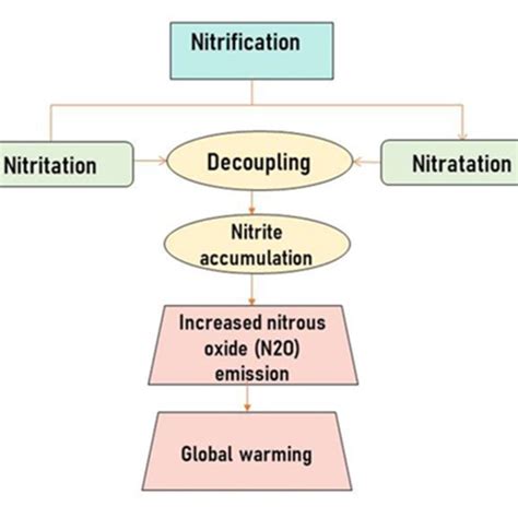 | Effect of influencing soil nitrification process negatively. | Download Scientific Diagram