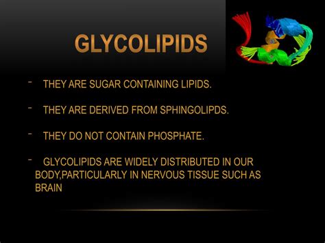 PPT - GLYCOLIPIDS PowerPoint Presentation, free download - ID:9681380