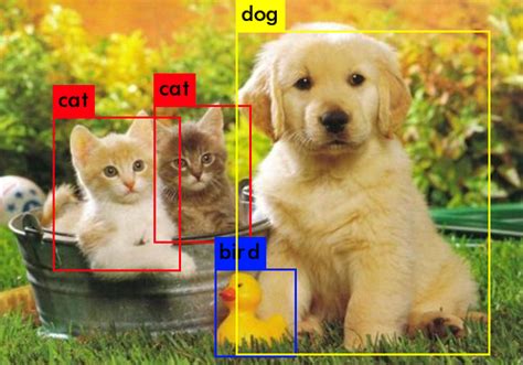 Evaluation metrics for object detection and segmentation