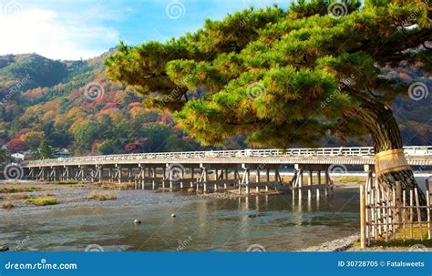 Landscape Kyoto stock image. Image of kyoto, trees, history - 30728705