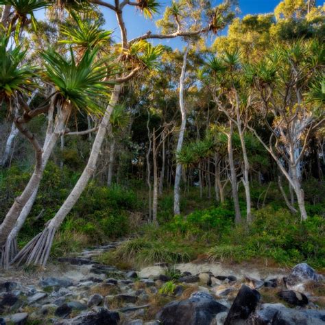 Noosa National Park | Emerald Noosa