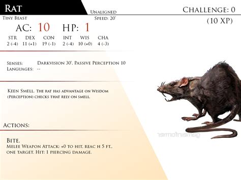 Rat by Almega-3 | Dnd, Monster cards, Dungeons and dragons homebrew