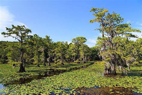 How Many Natural Lakes Are in Texas? - WorldAtlas