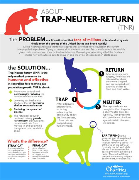 About trap-neuter-return - Infographics by Graphs.net