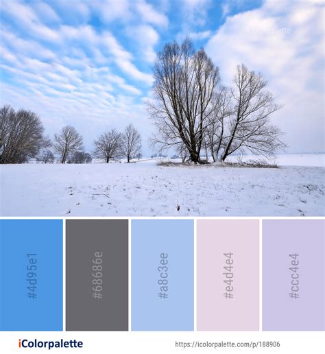 Color Palette ideas from 693 Winter Images | iColorpalette Winter Color Palette, Colour Pallette ...