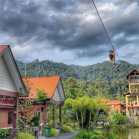 This Hill Resort With Wooden Chalets, A Flying Fox & Stream Is Only 1 ...