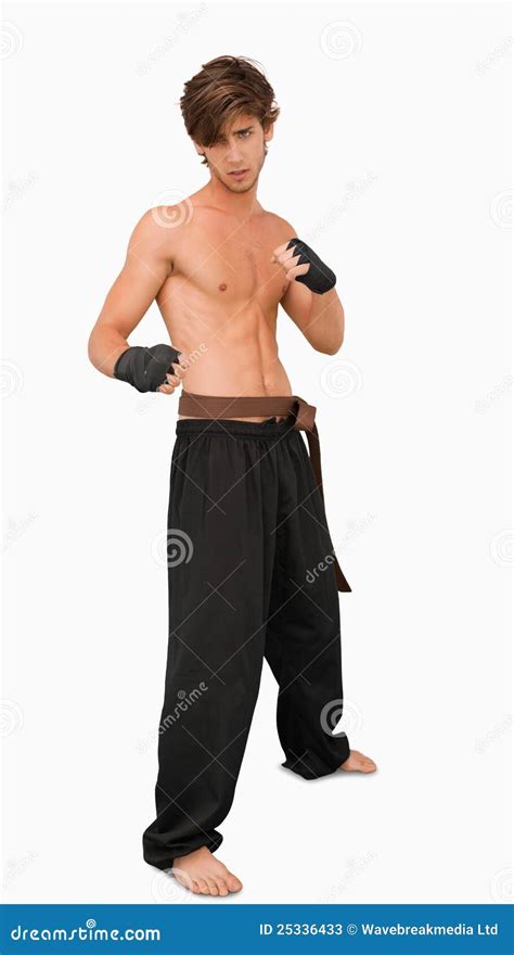 Martial Arts Fighter Standing in Fighting Pose Stock Image - Image of combat, belt: 25336433