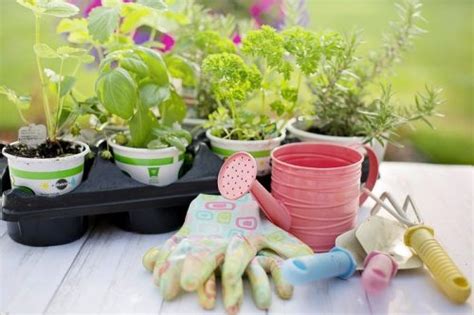 19 Unique Gardening Gifts for Mom