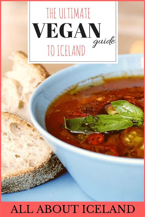 The Ultimate Iceland Vegan Food Guide | All About Iceland | Travel eating, Travel food, Food guide