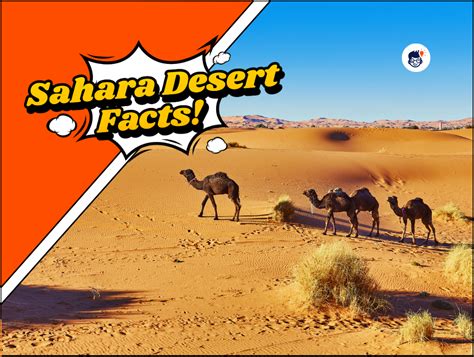 17 Sahara Desert Facts That'll Test Your Knowledge! (Free Printables)