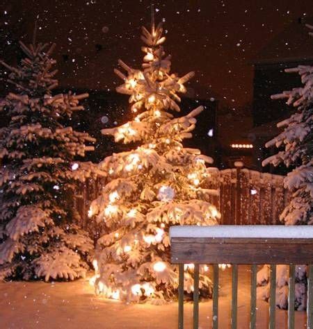 Snowing Lighted Christmas Tree Pictures, Photos, and Images for Facebook, Tumblr, Pinterest, and ...