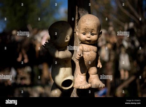 Dolls decorate the Island of the Dolls in Xochimilco, southern Mexico ...