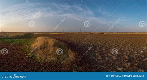 Landscape with Dry Land and Young Plants Stock Image - Image of geology, desert: 144019857