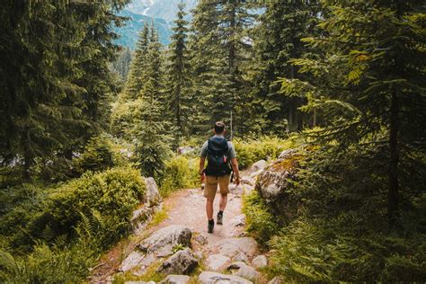 Hiking - Alpine Lodge at Red Feather Lakes