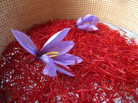 How To Use Saffron For Skin: Lighten Your Skin In A Jiffy