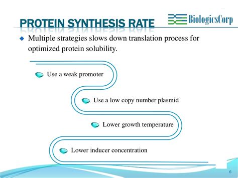 Soluble protein expression optimization