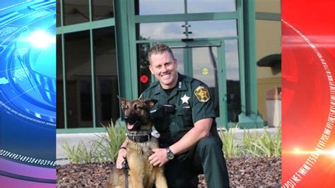 Lakeland Sheriff kills his own police K-9 after animal attacked officer - Local Records Office ...