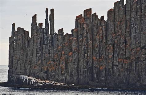 The Dolerite Columns of Coastal Tasmania | Amusing Planet