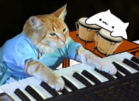 We have keyboard cat and bongo cat... Hmm, I wonder what's next ...