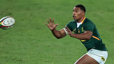 The Damian Willemse project is in full swing - south africa | Rugby365