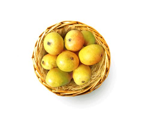 Buy Goa Mankurad (Mancurad) Mango - Mango Basket